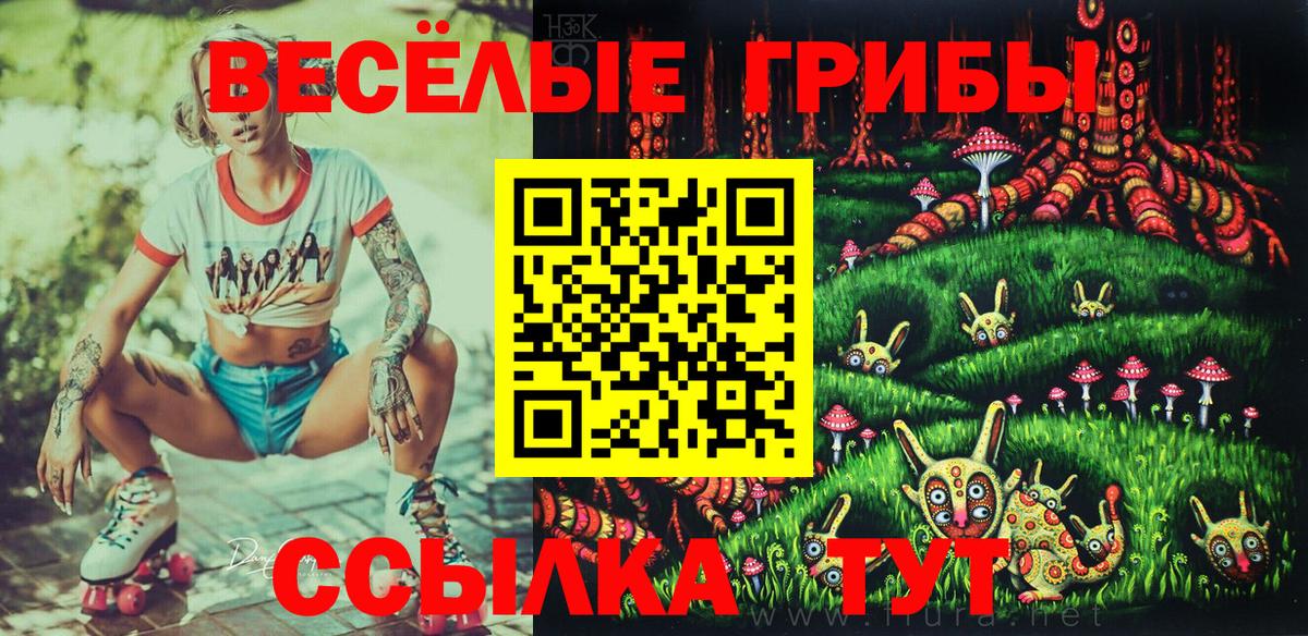 Псилоцибиновые грибы MAGIC MUSHROOMS  Вход с VPN  Барабинск 